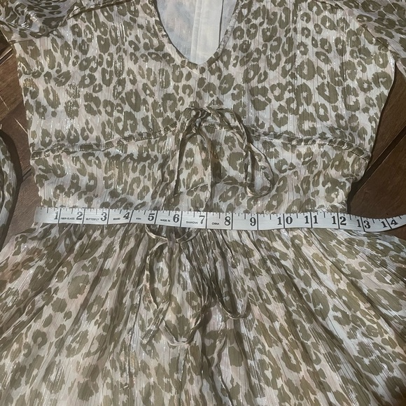 Walter Barker size 2 sheer cheetah print dress - Picture 8 of 11